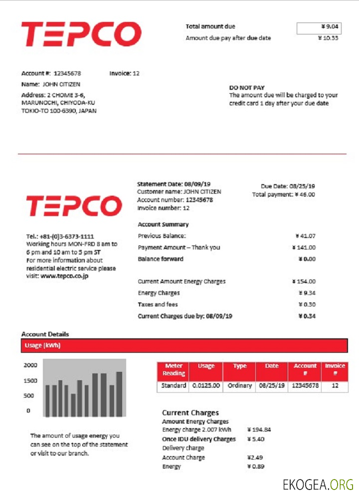 Japan Tokyo electric power company electricity utility bill template in word and pdf format template